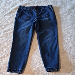 Astor Denim Stylish Blue Ankle Jeans for Women